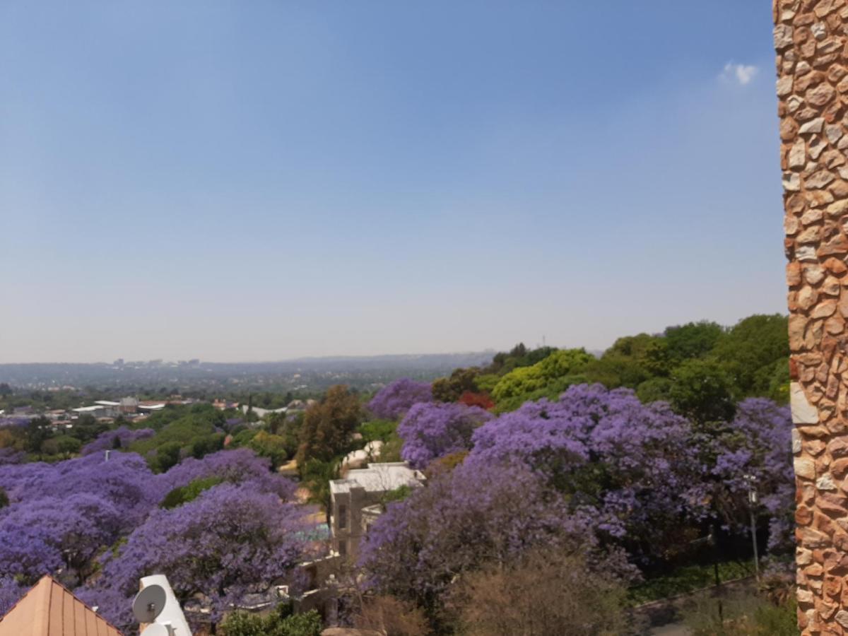 Orangerie Guest House Johannesburg Kültér fotó